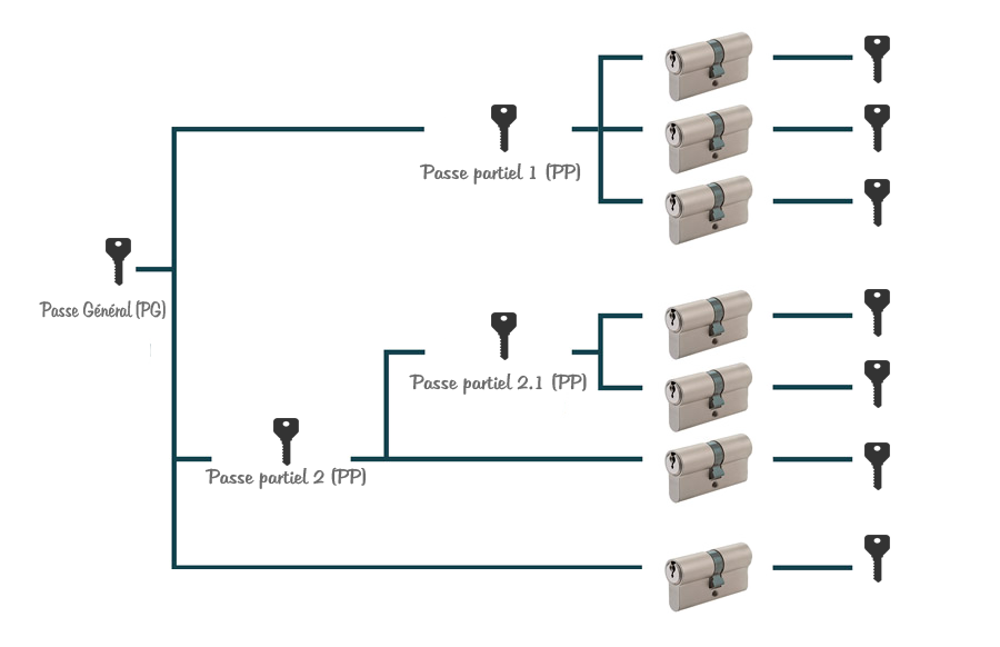 organigramme de clé