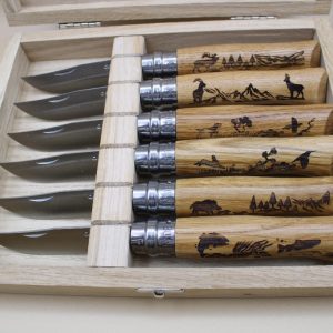 Coffret couteaux Opinel bruguieres 31